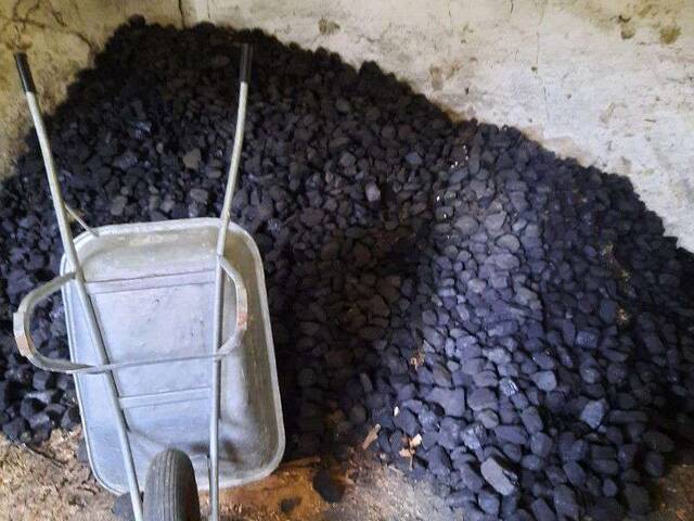 Immobilie in Rabensburg - Haus mit großem Garten in 2274 Rabensburg zu verkaufen - Bild 3