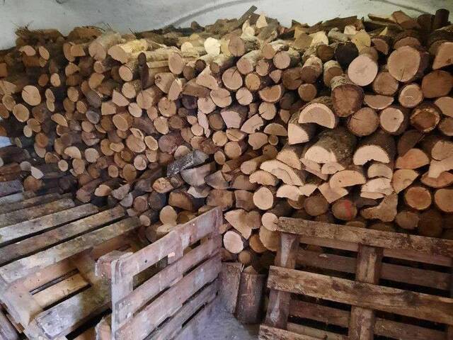 Immobilie in Rabensburg - Haus mit großem Garten in 2274 Rabensburg zu verkaufen - Bild 4