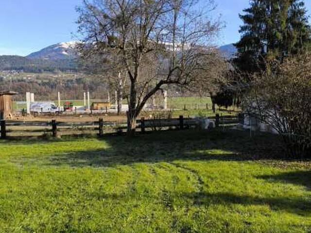 Immobilie in Paternion - Großzügiges Einfamilienhaus mit optionalem Apartment in sonniger Lage zwischen Villach und Spittal an der Drau - Bild 2