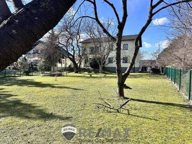 Immobilie in Wiener Neudorf - EndlichPlatzFürAlle! - Bild 1