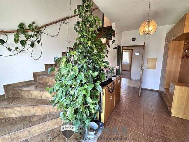 Immobilie in Wiener Neudorf - EndlichPlatzFürAlle! - Bild 3