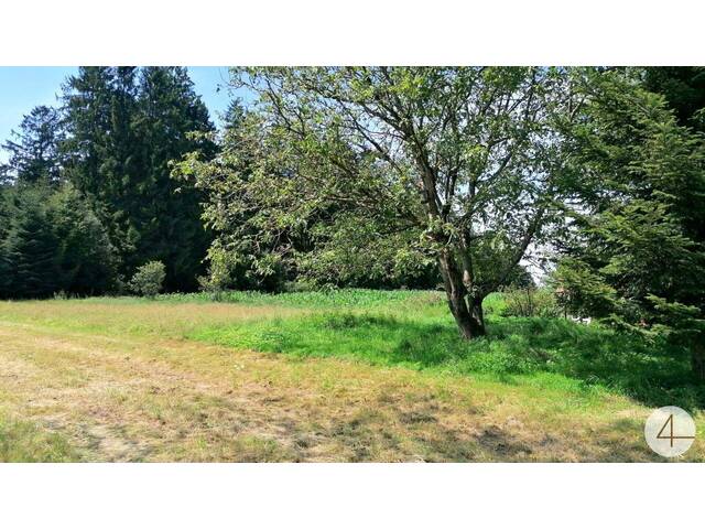 Immobilie in St. Willibald - Alleinlage, 129.000 Euro Renovierungsbedürftiges Haus am Waldrand 4762 St Willibald Oberantlang 14 - Bild 1