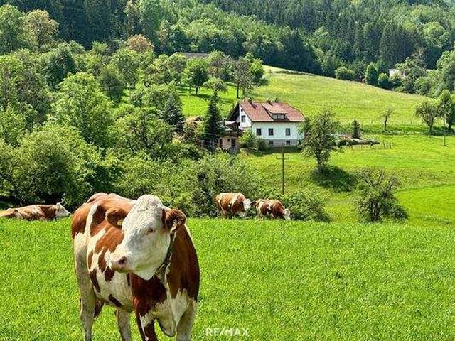 Immobilie in Granitztal-St. Paul - Platzwunder in St. Paul - Gepflegte Liegenschaft mit Charme - Bild 0