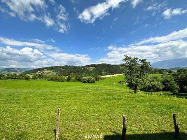 Immobilie in Granitztal-St. Paul - Platzwunder in St. Paul - Gepflegte Liegenschaft mit Charme - Bild 2