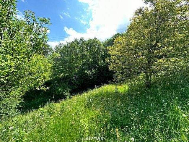 Immobilie in Granitztal-St. Paul - Platzwunder in St. Paul - Gepflegte Liegenschaft mit Charme - Bild 3