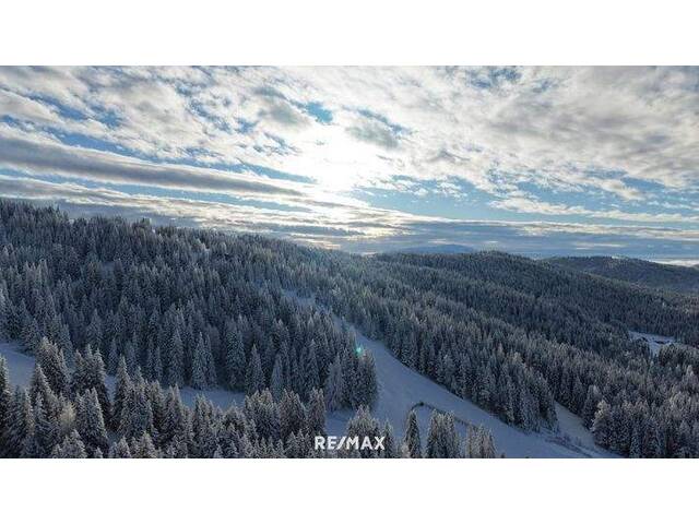 Immobilie in Schönberg bei Niederwölz - Einfamilienhaus in Schönberg-Lachtal - Bild 1