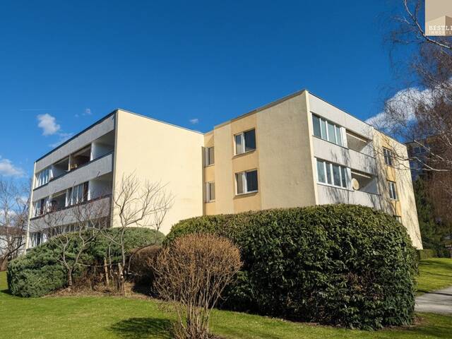 Immobilie in Baden - Gut geschnittene 1-Zimmer-Wohnung mit Loggia und Entwicklungspotenzial - Bild 0