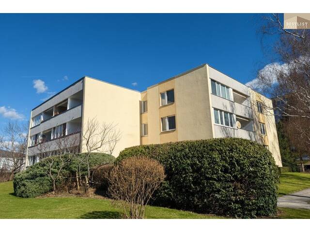 Immobilie in Baden - Gut geschnittene 1-Zimmer-Wohnung mit Loggia und Entwicklungspotenzial - Bild 3