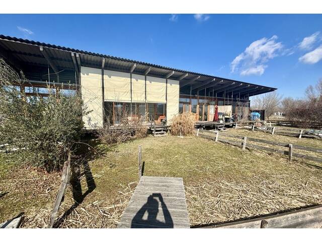 Immobilie in Jois - Kleines Seehaus in der Inselwelt Jois mit großer Sonnenterrasse & direktem Seezugang - Bild 4