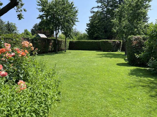 Immobilie in Hornstein - Idyllischer Ferienbungalow auf Pachtgrundstück beim Neufeldersee - Bild 1