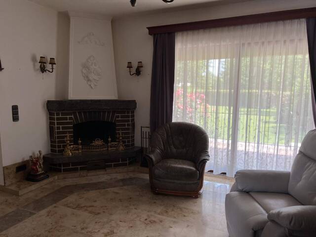 Immobilie in Hornstein - Idyllischer Ferienbungalow auf Pachtgrundstück beim Neufeldersee - Bild 3