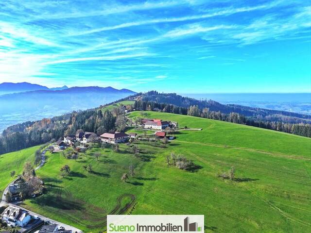 Immobilie in Oberschlierbach - TRAUM-Bauernhof in PREMIUM-LAGE über der Nebelgrenze! Freiheit pur! - Bild 3