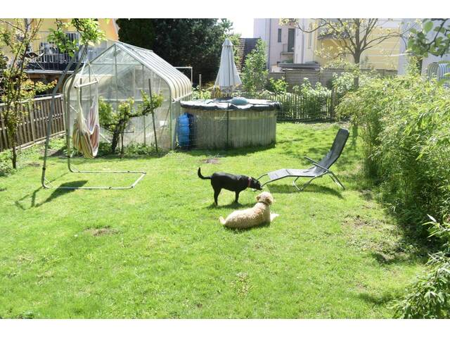Immobilie in Waidhofen an der Ybbs - Gründerzeithaus mit Garten und Stellplatz - Bild 4