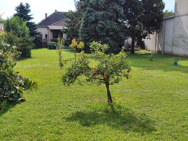 Immobilie in Siegendorf - Einfamilienhaus auf großem Grundstück in Siegendorf! Teilweise Sanierungsbedarf! - Bild 0