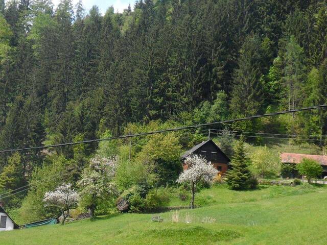 Immobilie in St. Gertraud - 9413 St.Gertraud/Prössinggraben Wald. und Wiesenliegenschaft mit Holzhaus - Bild 1