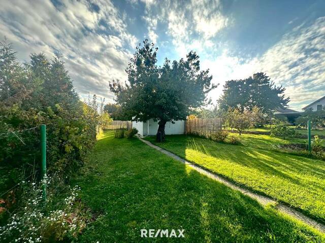 Immobilie in Ringelsdorf - Charmantes Landhaus mit schönem Wohnambiente! - Bild 0