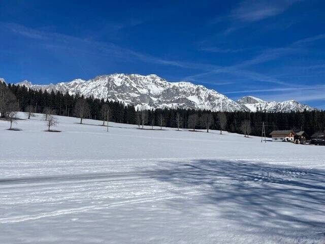 Immobilie in Ramsau am Dachstein - Schladming - Ramsau am Dachstein: Elegantes 3-Zimmer-Apartment in außergewöhnlicher Lage mit touristischer Vermietung und Eigennutzung! - Bild 2