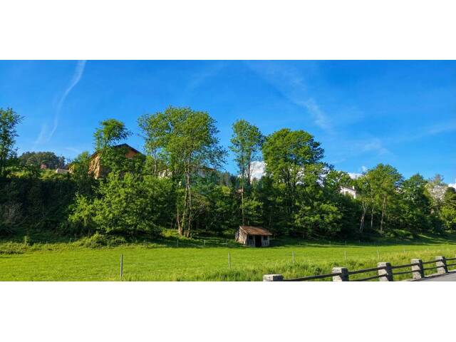 Immobilie in Zöbern - Neuer Preis! Modernisiertes Einfamilienhaus mit ca. 166 m² Wohnfläche, Garten, Garage und Keller - Bild 0