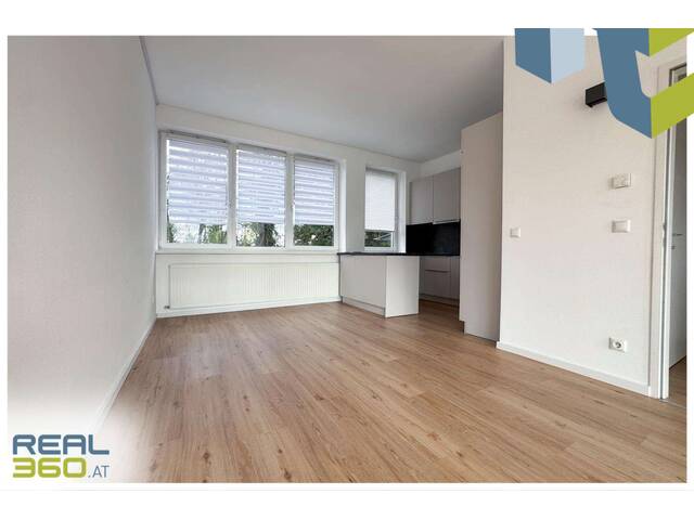 Immobilie in Traun - Großzügiges, lichtdurchflutetes Loft in Traun zu verkaufen! (L1- aktuell vermietet) - Bild 3