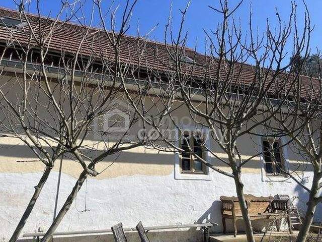 Immobilie in Minihof-Liebau - Historischer Dreiseithof mit schönen Gewölbedecken sucht neue Eigentümer - Bild 0