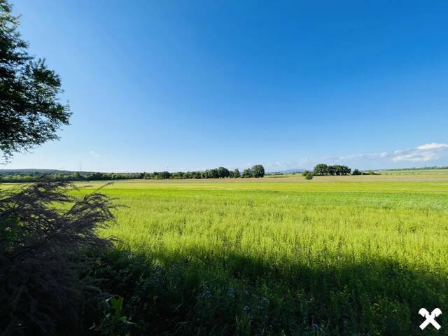 Immobilie in Steinabrückl - Ein Zuhause zum Verlieben - Familienidylle mit Pool und traumhaftem Garten - Bild 3