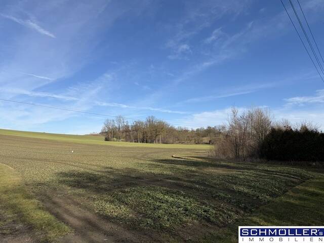 Immobilie in Buchkirchen - Idyllisches Wohnen in Stadtnähe - Tradition trifft Moderne - Bild 1