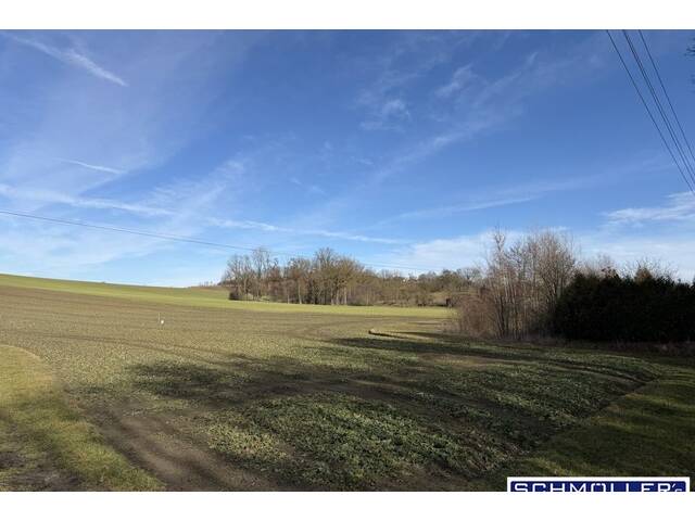 Immobilie in Buchkirchen - Idyllisches Wohnen in Stadtnähe - Tradition trifft Moderne - Bild 4