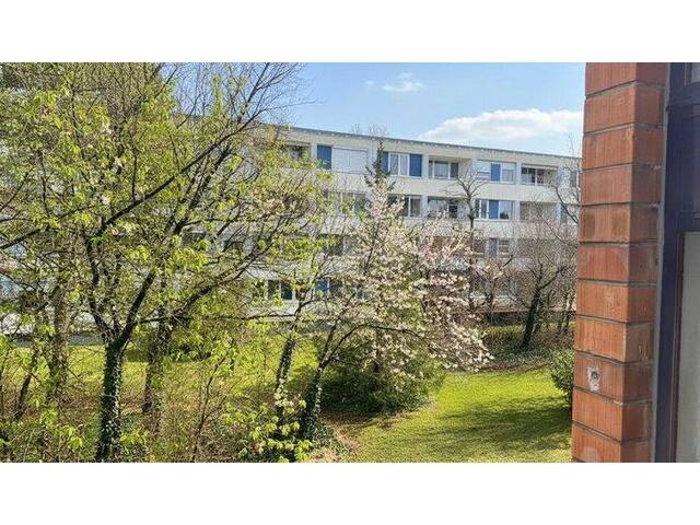 Immobilie in Maria Enzersdorf - Vollrenovierte Dreizimmer-Wohnung mit großem Kellerraum - Bild 0