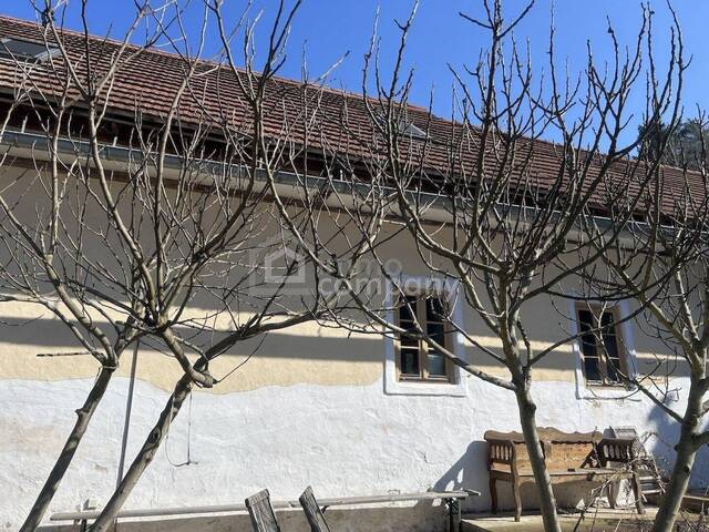 Immobilie in Minihof-Liebau - Historischer Dreiseithof mit schönen Gewölbedecken sucht neue Eigentümer - Bild 1