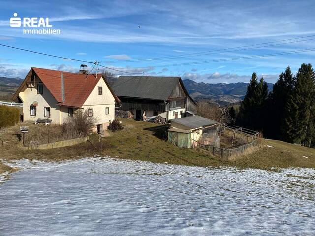 Immobilie in Passail - Großes Baugrundstück mit sanierungsbedürftigem Haus mit Nebengebäuden beim Schöckl - Bild 1