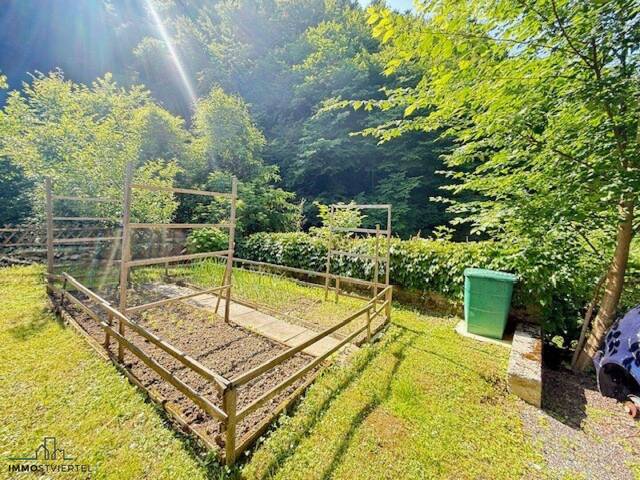 Immobilie in St. Martin am Ybbsfelde - Großzügiges Landhaus in traumhafter Ruhelage! - Bild 3