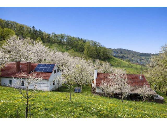 Immobilie in Thal - Unter 10min nach Graz: Landwirtschaft mit Eigenwald, Quellfassung und 38.000 m² Grund - Bild 1