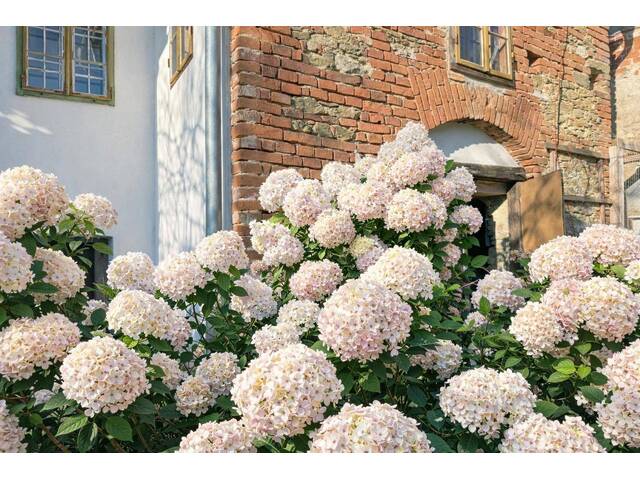 Immobilie in Thal - Unter 10min nach Graz: Landwirtschaft mit Eigenwald, Quellfassung und 38.000 m² Grund - Bild 3