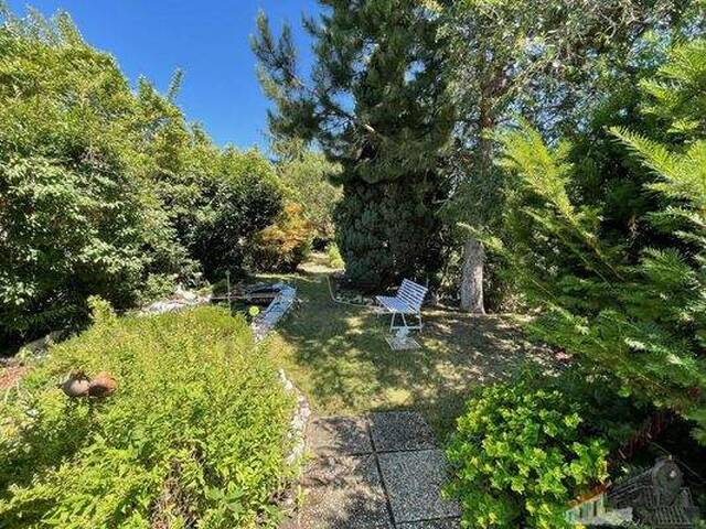 Immobilie in Tribuswinkel - Entzückendes kleines Anwesen nähe Baden - Bild 0