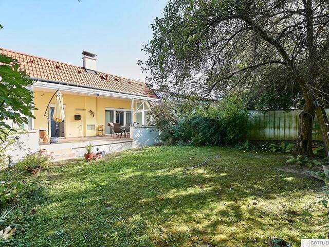 Immobilie in Bisamberg - Stadtgrenze von Wien! Elegantes Einfamilienhaus mit uneinsehbarem Garten, restauriertem Weinkeller und Doppelgarage - Bild 0