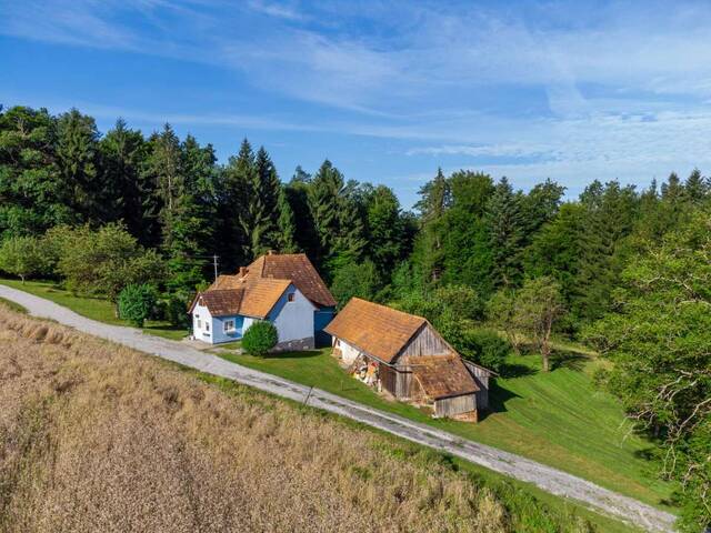 Immobilie in Vasoldsberg - Charmante Kleinlandwirtschaft mit großem Entwicklungspotenzial - Ruhe, Natur und Nähe zu Graz - Bild 0
