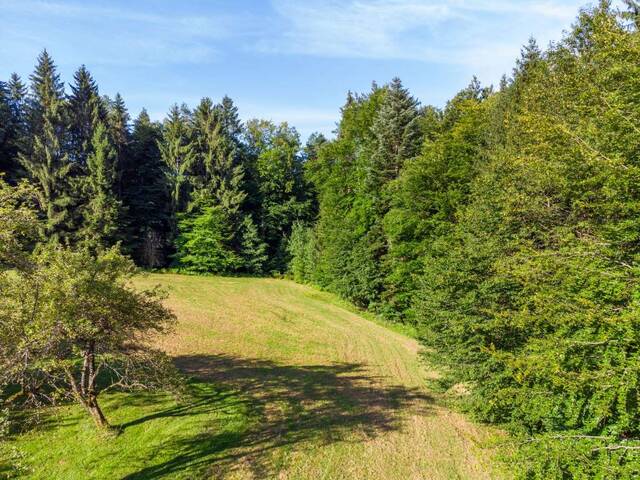 Immobilie in Vasoldsberg - Charmante Kleinlandwirtschaft mit großem Entwicklungspotenzial - Ruhe, Natur und Nähe zu Graz - Bild 2