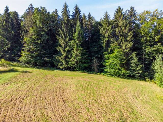Immobilie in Vasoldsberg - Charmante Kleinlandwirtschaft mit großem Entwicklungspotenzial - Ruhe, Natur und Nähe zu Graz - Bild 3