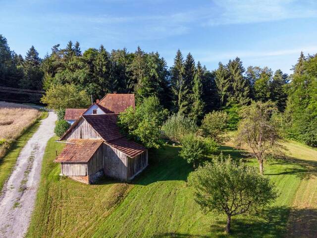 Immobilie in Vasoldsberg - Charmante Kleinlandwirtschaft mit großem Entwicklungspotenzial - Ruhe, Natur und Nähe zu Graz - Bild 4
