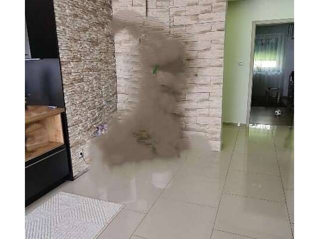 Immobilie in Mauerkirchen - Schönes Mehrfamilienhaus in einer Neubausiedlung - Bild 3