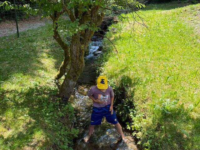 Immobilie in Treffen - Autarkes Anwesen in Seltener Einzellage - Bild 1