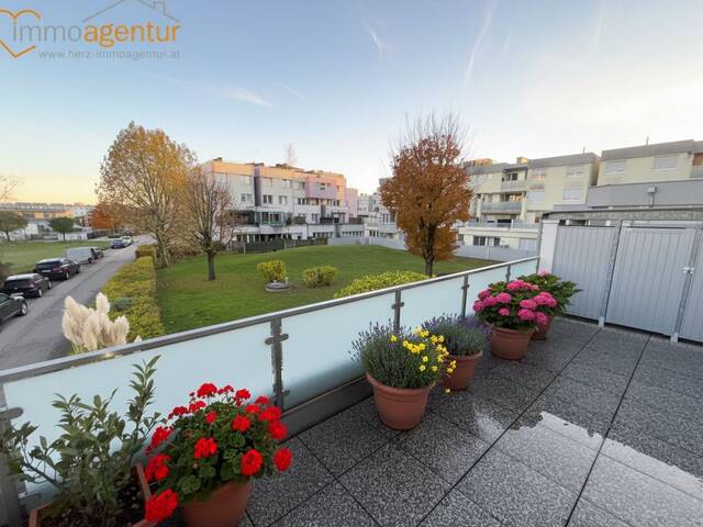 Immobilie in Marchtrenk - PREISVORTEIL! SOFORTBEZUG! 90m²- Terrassenwohnung in Marchtrenk mit insges. 44m² Terrassenfläche! - Bild 0
