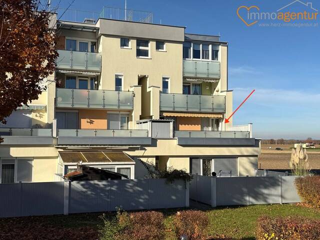Immobilie in Marchtrenk - PREISVORTEIL! SOFORTBEZUG! 90m²- Terrassenwohnung in Marchtrenk mit insges. 44m² Terrassenfläche! - Bild 2