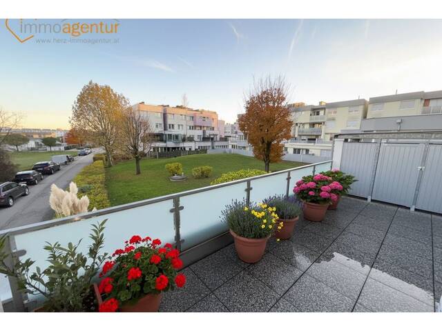 Immobilie in Marchtrenk - PREISVORTEIL! SOFORTBEZUG! 90m²- Terrassenwohnung in Marchtrenk mit insges. 44m² Terrassenfläche! - Bild 3