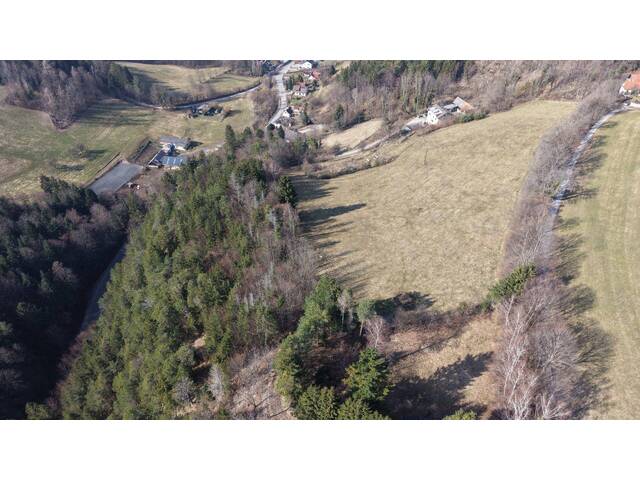 Immobilie in Neunkirchen - Mensch- und Tierparadies: Mehrparteienhaus mit großem Grundstück - Natur pur - Bild 3
