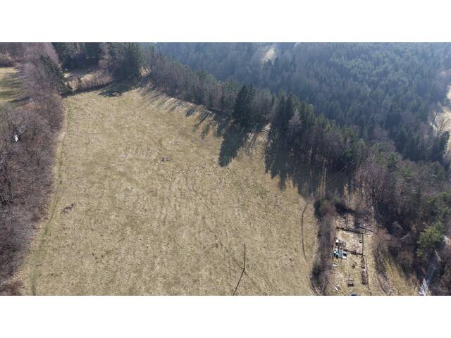 Immobilie in Neunkirchen - Mensch- und Tierparadies: Mehrparteienhaus mit großem Grundstück - Natur pur - Bild 4