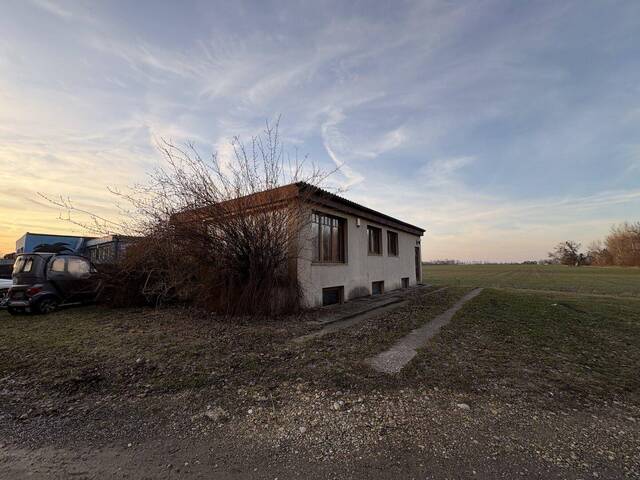 Immobilie in Himberg - WOHNEN AM SEE, ERBAUEN SIE SICH IHREN WOHNTRAUM MIT SEEZUGANG- Haus mit Keller in Trockenparzelle - Bild 4