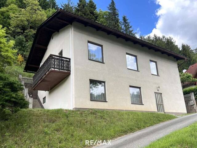 Immobilie in Lavamünd - Wohnen im Grünen: Einfamilienhaus in idyllischer Ruhelage mit kleinem Wald in Lavamünd - Bild 1