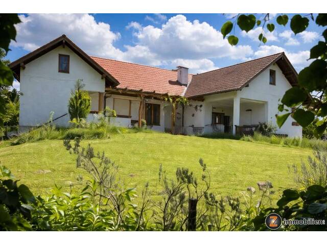 Immobilie in Kohfidisch - Charmantes Einfamilienhaus mit großer Terrasse - Bild 0