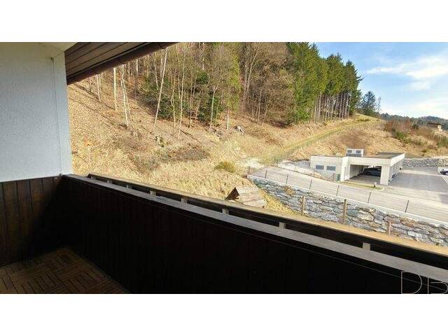 Immobilie in Edlitz - Großzügige 3,5 Zimmer Wohnung mit Süd-Loggia, 2 Eingängen, 2 Bädern & 2 Carportplätzen - auch teilbar! - Bild 1